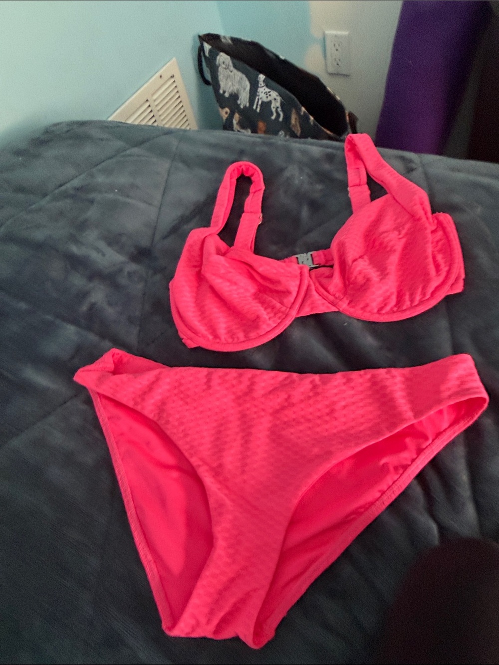 Vetchy Neon Pink Textured Bikini Set